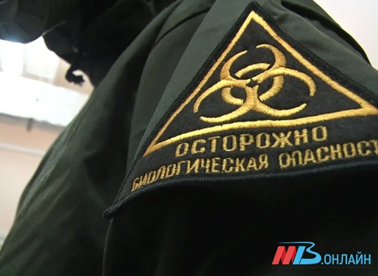 В Волгоградской области за сутки выявлено 74 новых случая COVID-19